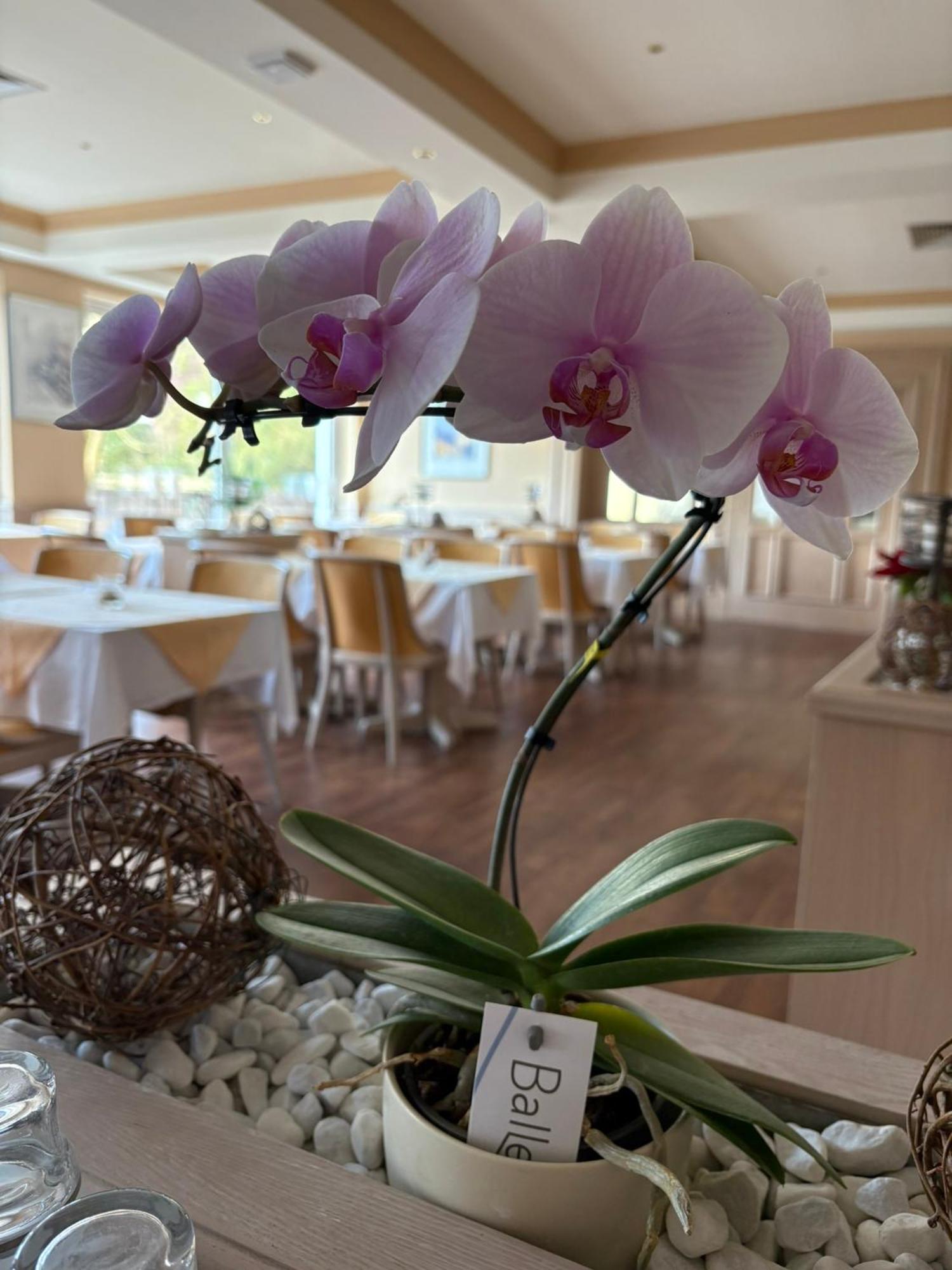Hotel Kieferneck باد بيفينسون المظهر الخارجي الصورة
